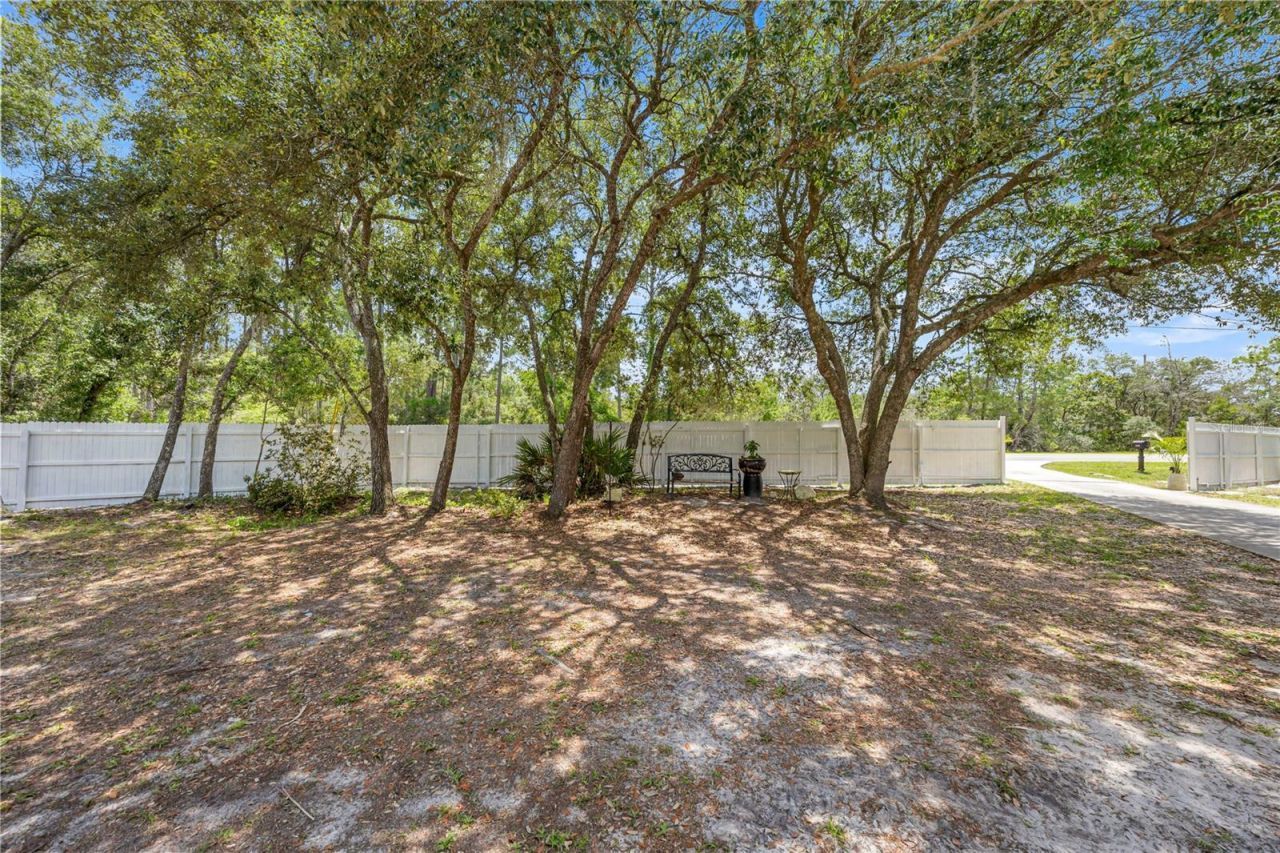 495 Fisher Road, Ocklawaha, FL 32179 Photo