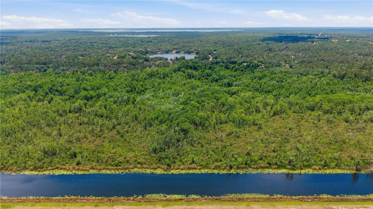 495 Fisher Road, Ocklawaha, FL 32179 Photo