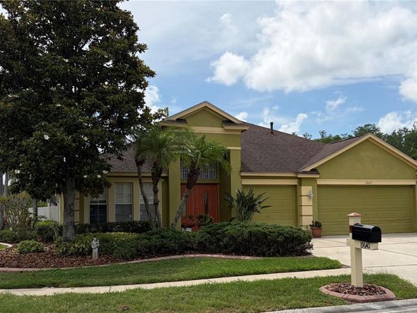 19640 BERGENFELD DRIVE , LAND O LAKES, FL 34638