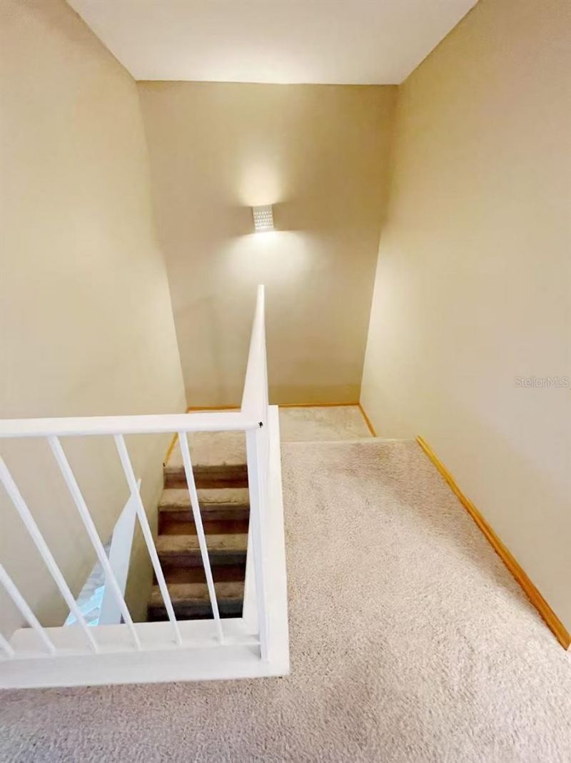 14402 Reuter Strasse Circle, Unit 223, Tampa, FL 33613 Photo