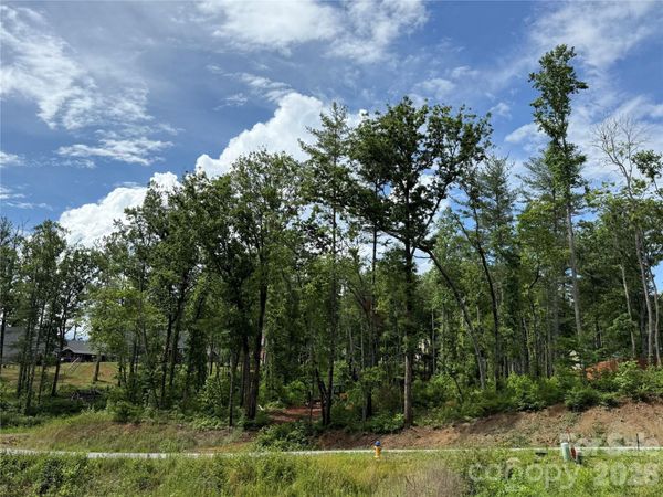 207 Cascade Ridge Road , Fairview, NC 28730