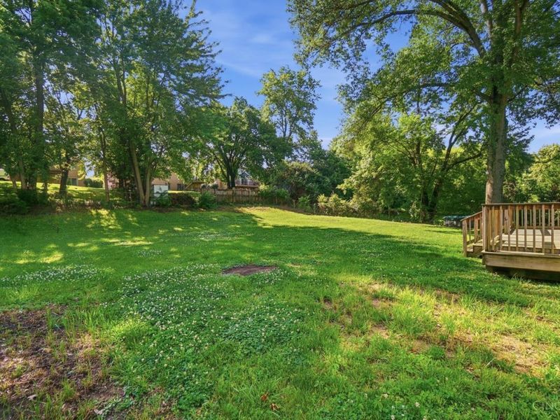 3340 Algus Lane, Cincinnati, OH 45248 Photo 55