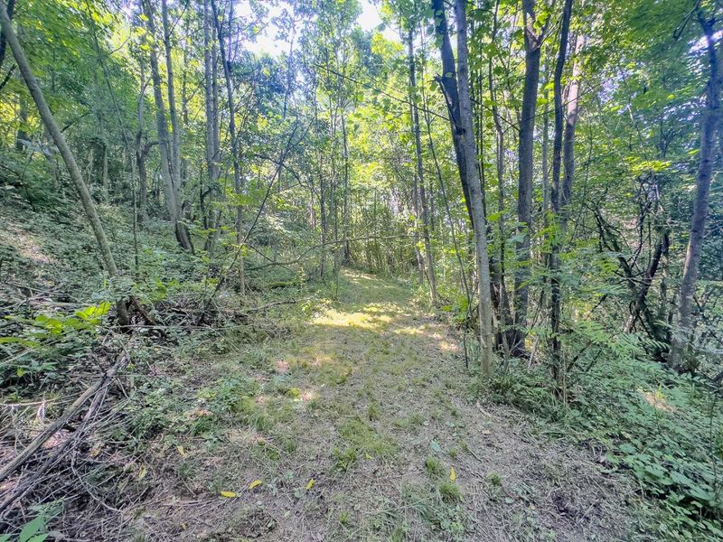 12141 Burton Hill Road , Nelsonville, OH 45764 Photo 18