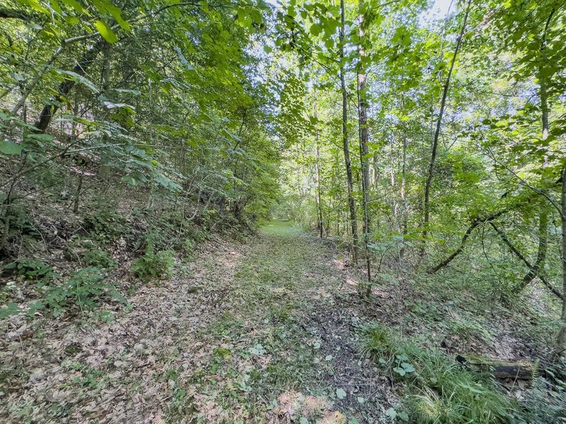 12141 Burton Hill Road , Nelsonville, OH 45764 Photo 19