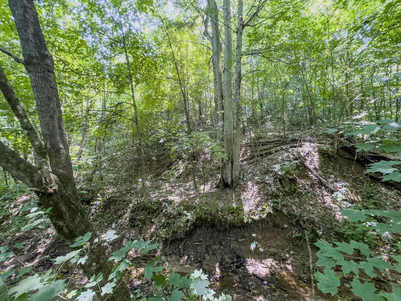 12141 Burton Hill Road , Nelsonville, OH 45764 Photo 22