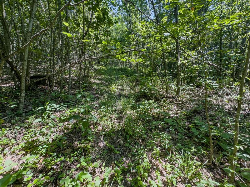 12141 Burton Hill Road , Nelsonville, OH 45764 Photo 24