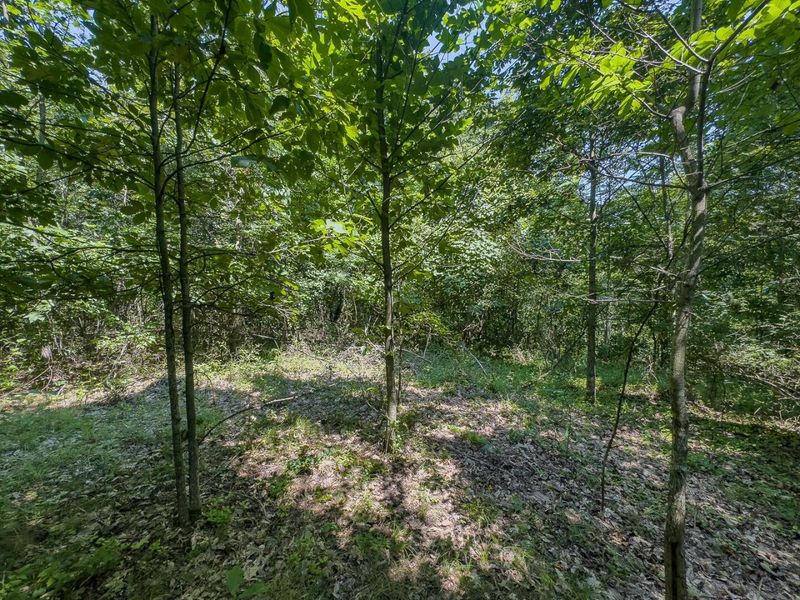 12141 Burton Hill Road , Nelsonville, OH 45764 Photo 25