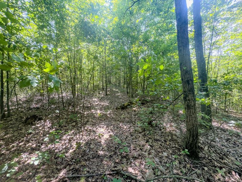 12141 Burton Hill Road , Nelsonville, OH 45764 Photo 26