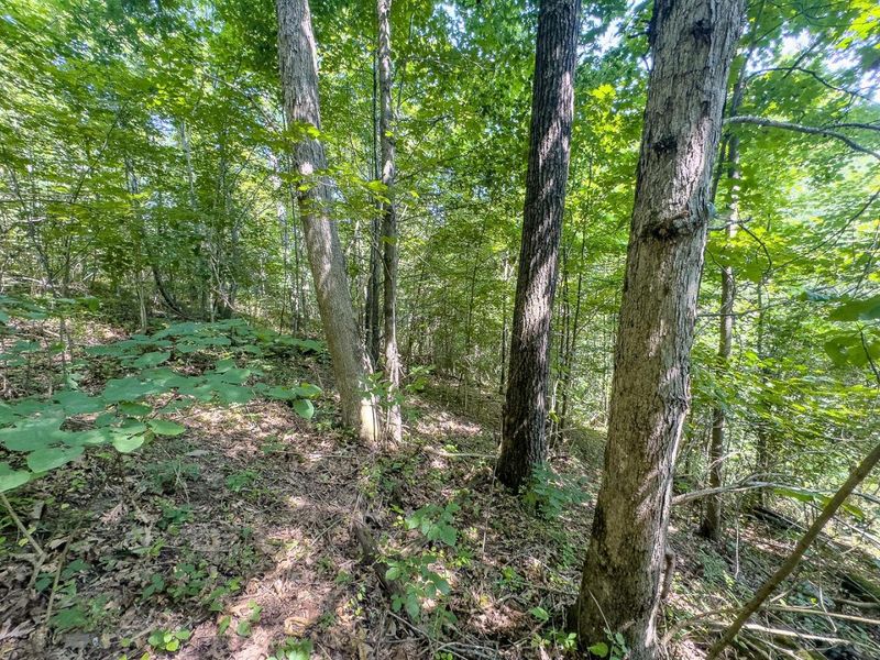 12141 Burton Hill Road , Nelsonville, OH 45764 Photo 31