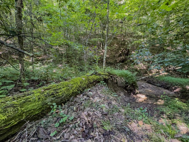 12141 Burton Hill Road , Nelsonville, OH 45764 Photo 33