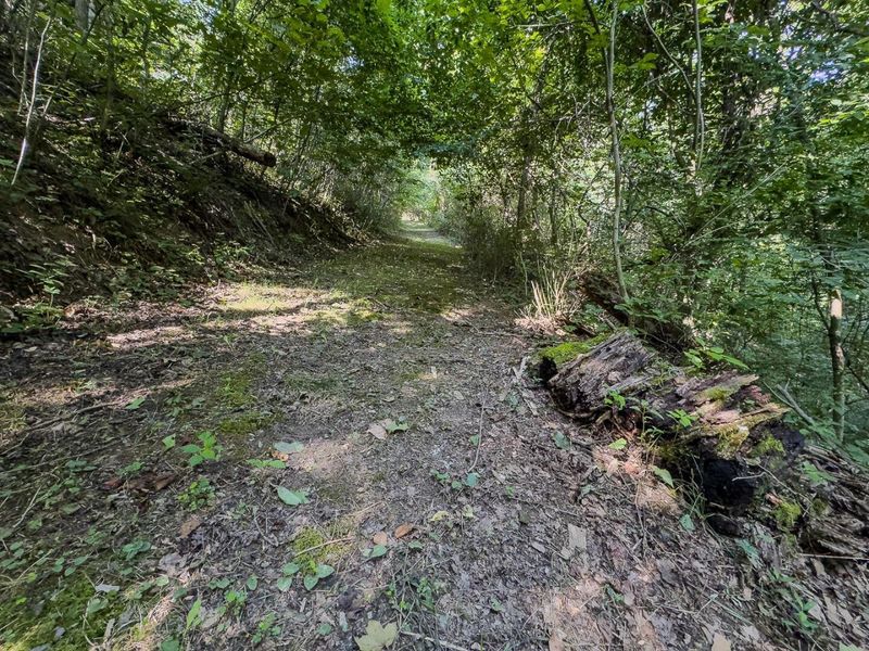 12141 Burton Hill Road , Nelsonville, OH 45764 Photo 34