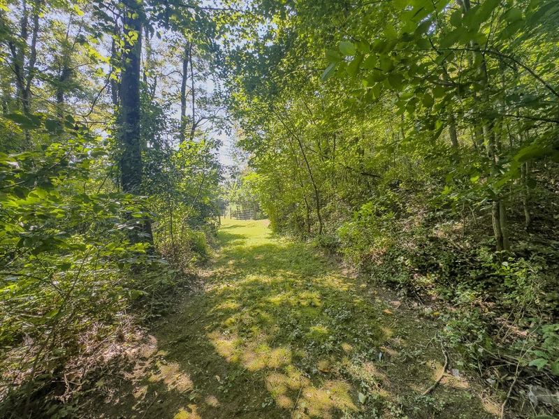 12141 Burton Hill Road , Nelsonville, OH 45764 Photo 36