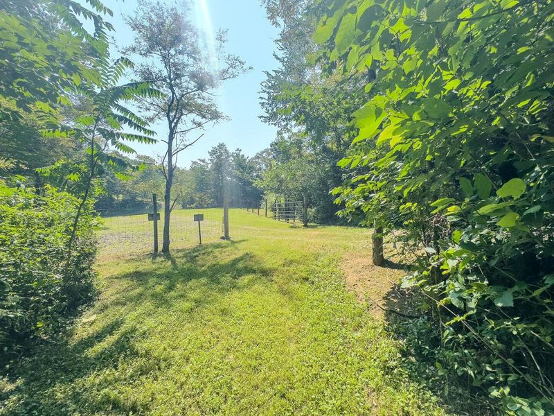 12141 Burton Hill Road , Nelsonville, OH 45764 Photo 37