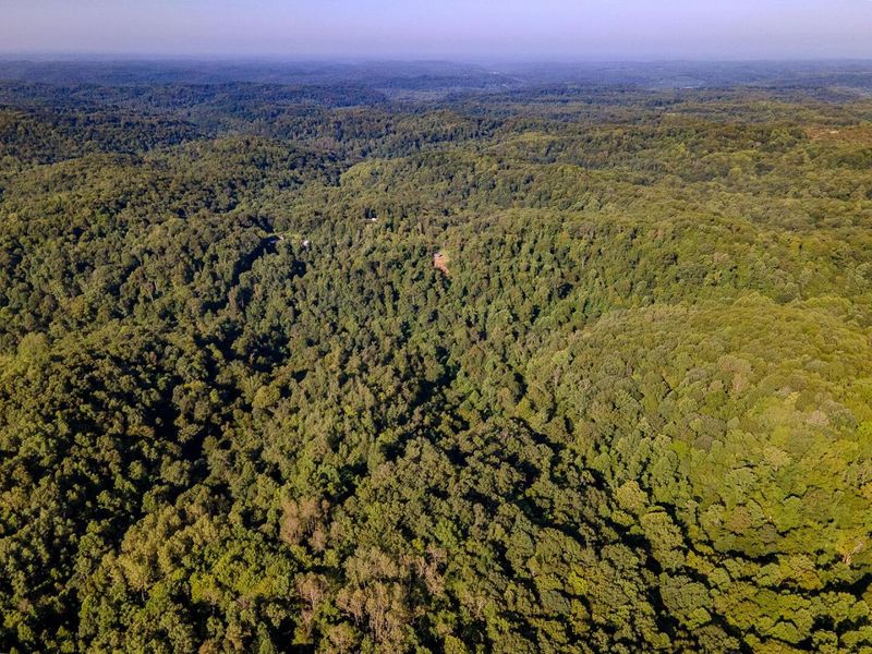 12141 Burton Hill Road , Nelsonville, OH 45764 Photo 39