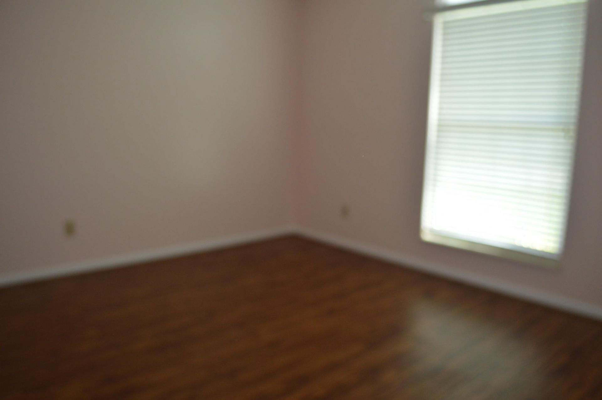 1905 Starling Ct. Photo 21