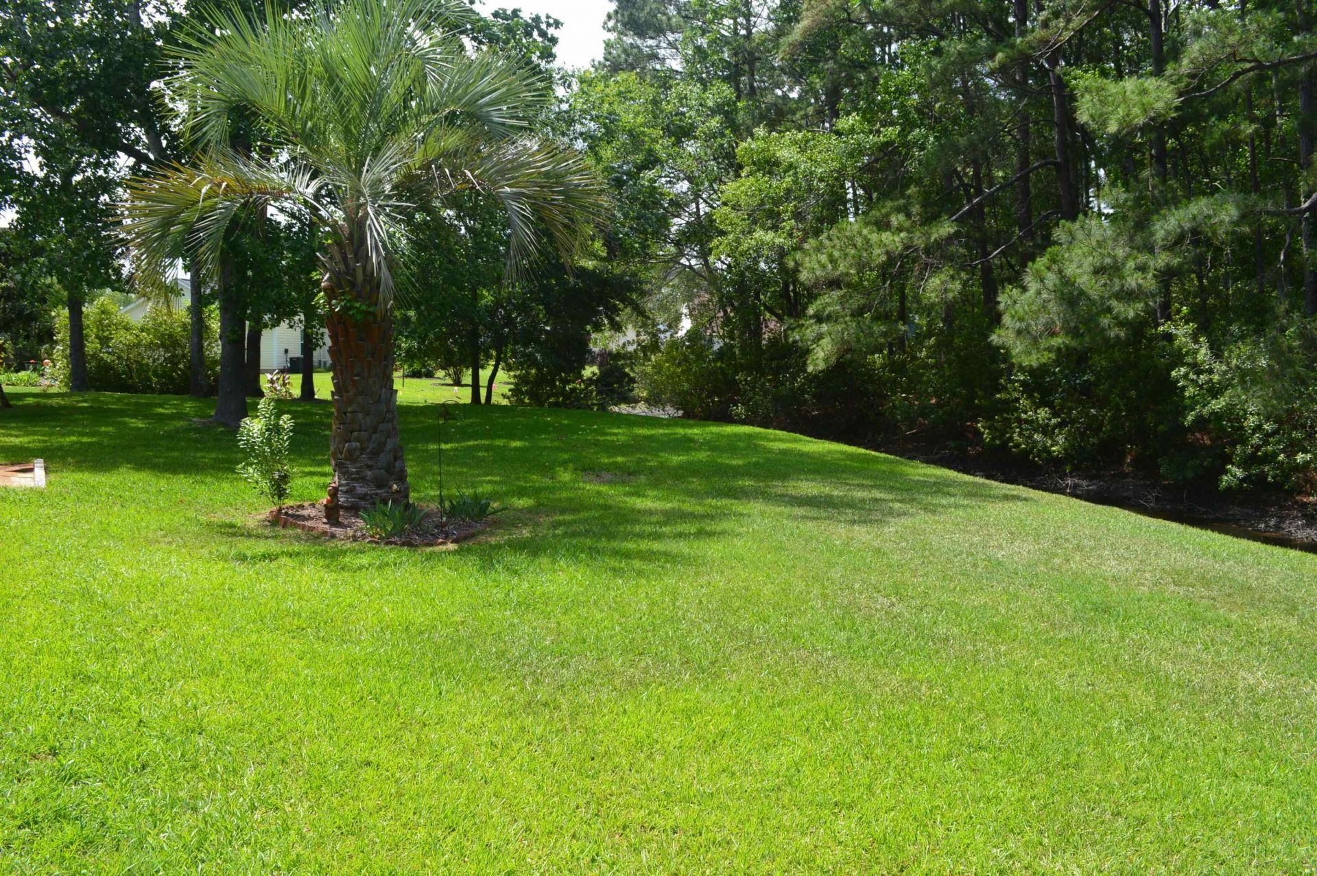 1905 Starling Ct. Photo 30