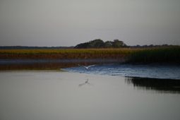 0 Cole Island photo 4