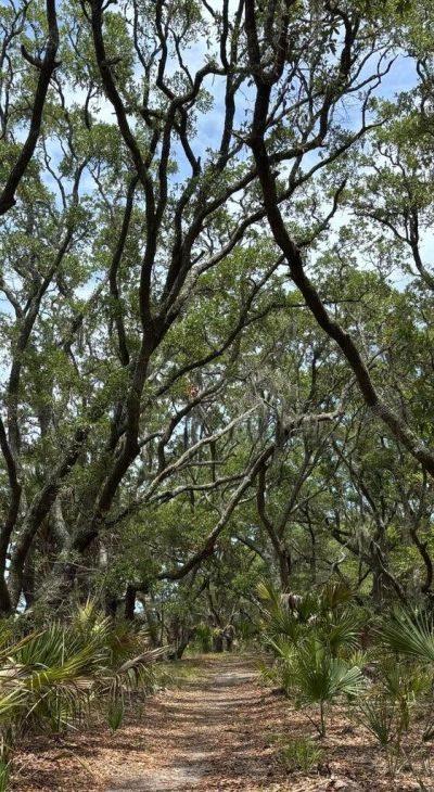 0 Cole Island Photo 7