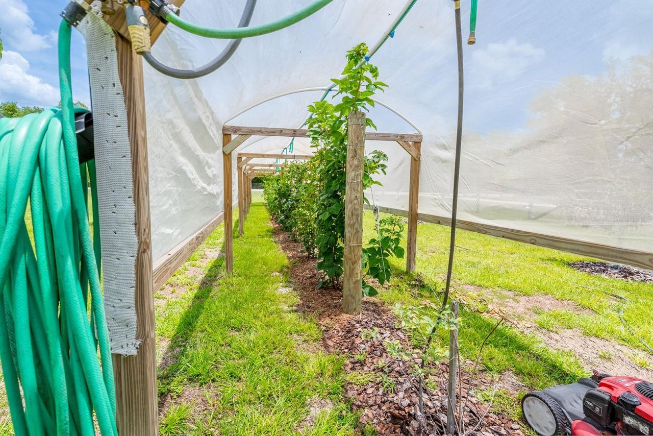 11030 NW 100th Avenue, Chiefland, FL 32626 Photo