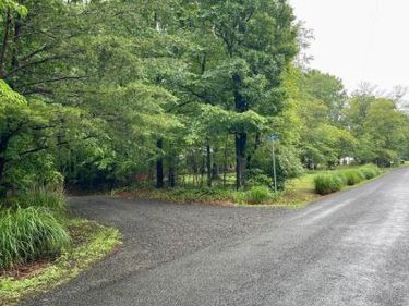 CARSONS WAY , AMISSVILLE, VA 20106