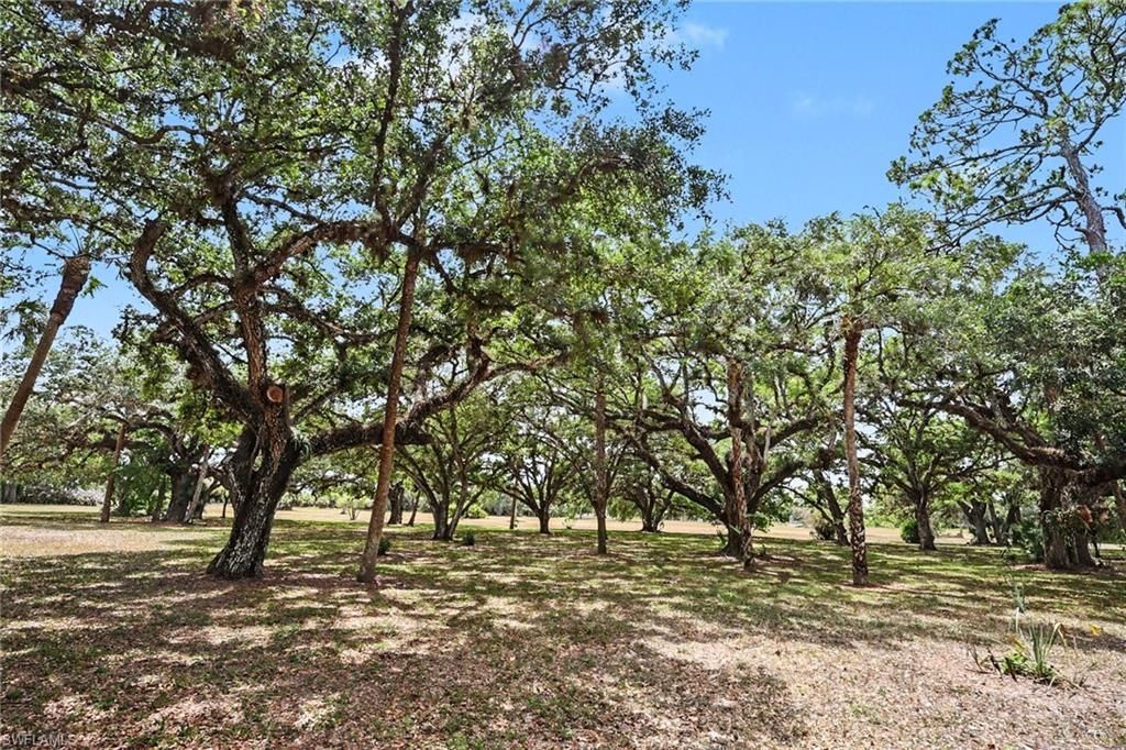 3079 Frontier Cir , Labelle, FL 33935 Photo
