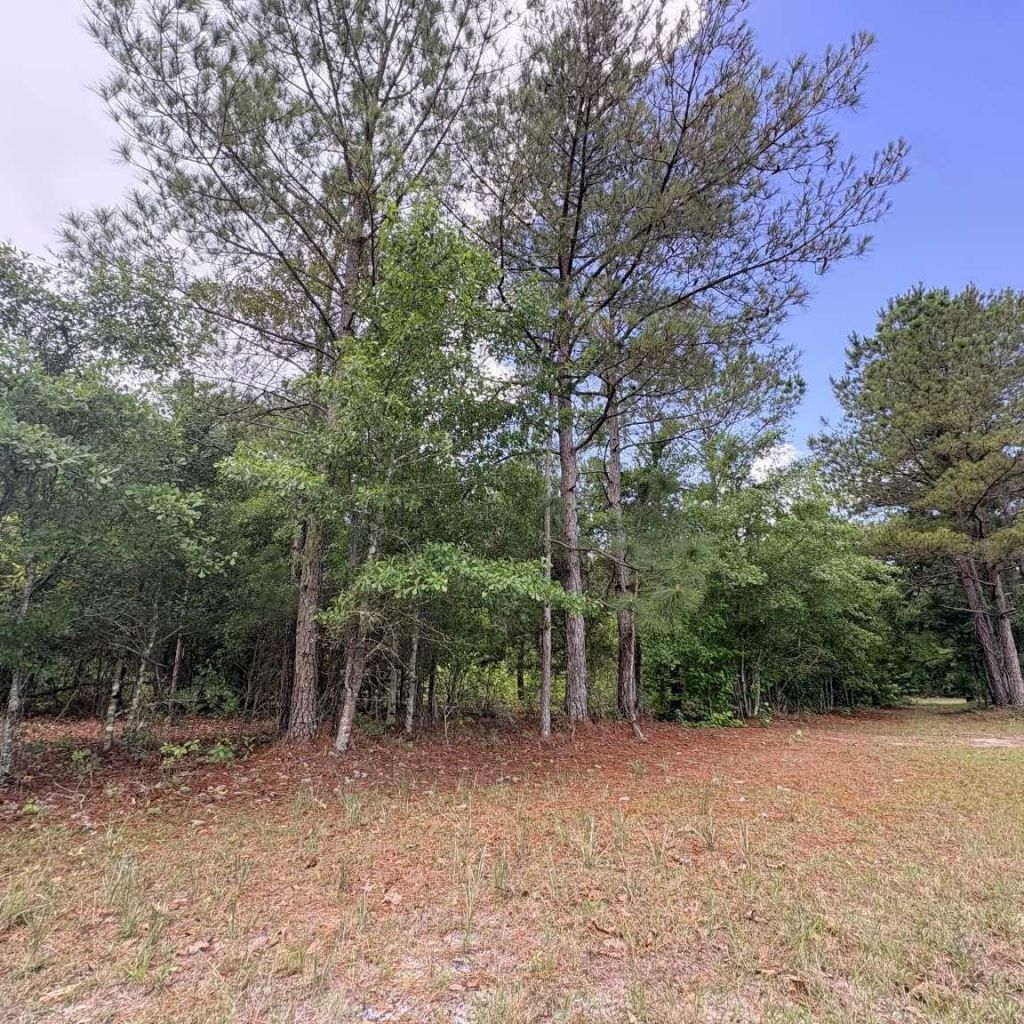 1660 Nathan Dr.  Photo 45