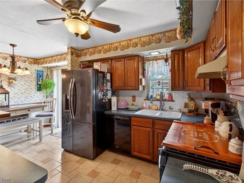 1105 Birch Lane, Cleveland, OH 44109 Photo 14