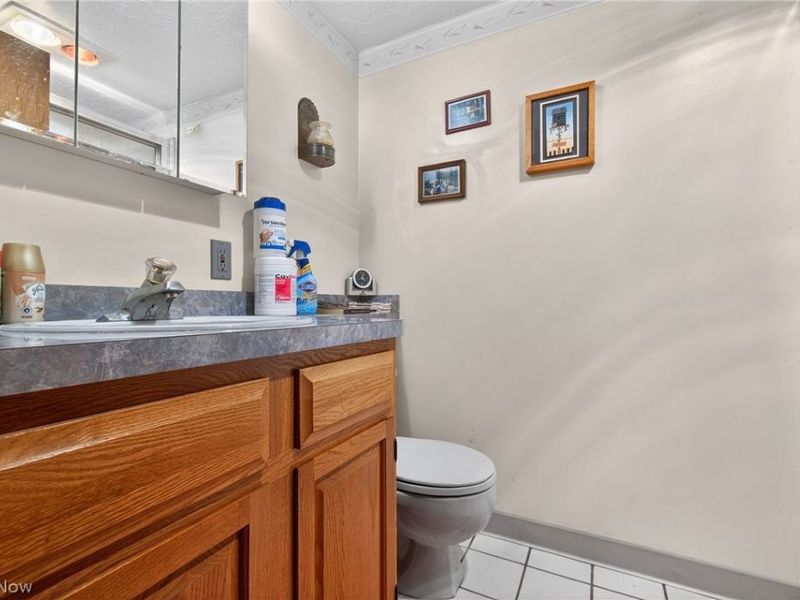 1105 Birch Lane, Cleveland, OH 44109 Photo 22