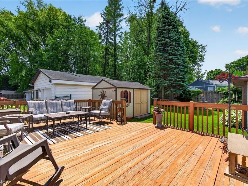 1105 Birch Lane, Cleveland, OH 44109 Photo 23