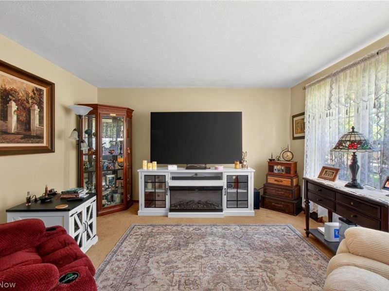 1105 Birch Lane, Cleveland, OH 44109 Photo 7
