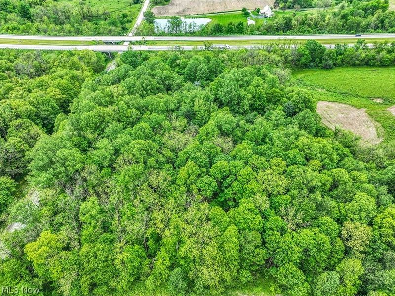 Co Road 1035, SECTION 7 N-4, Ashland, OH 44805 Photo 11