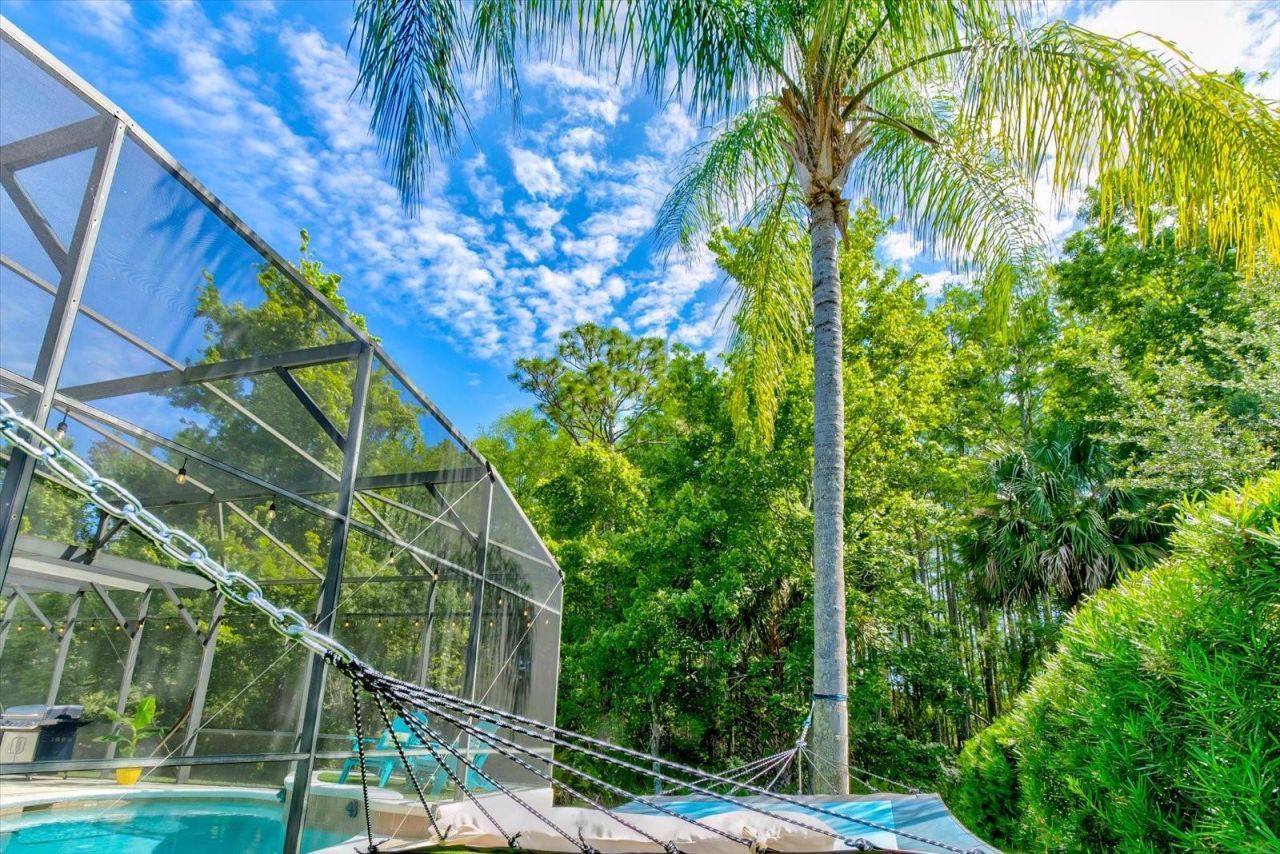 14427 Fawnhaven Court, Orlando, FL 32828 Photo