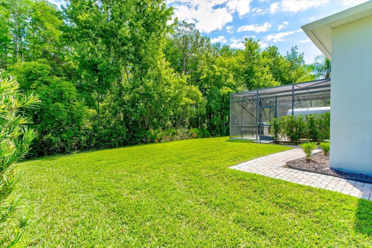 14427 Fawnhaven Court, Orlando, FL 32828 Photo