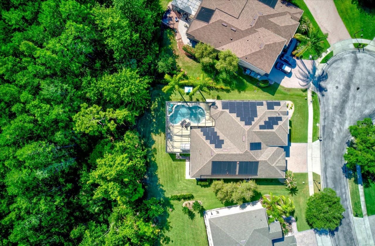 14427 Fawnhaven Court, Orlando, FL 32828 Photo