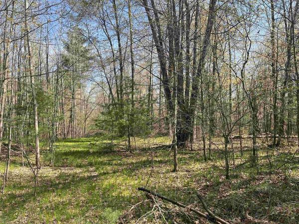 HWY 141, Abrams, WI 54101