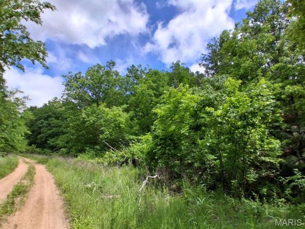 0 M- Golden Drive , Raymondville, MO 65555