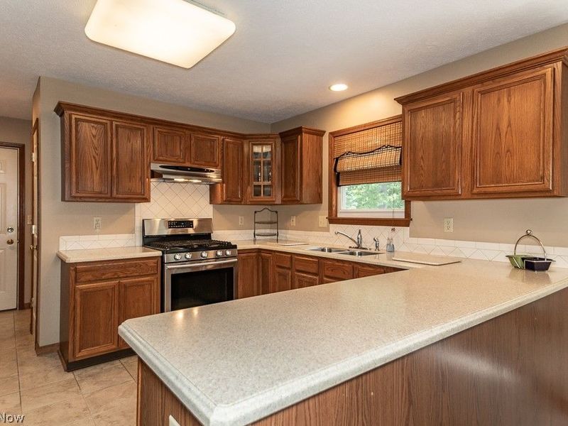 1196 Dartmouth Drive , Painesville Township, OH 44077 Photo 19