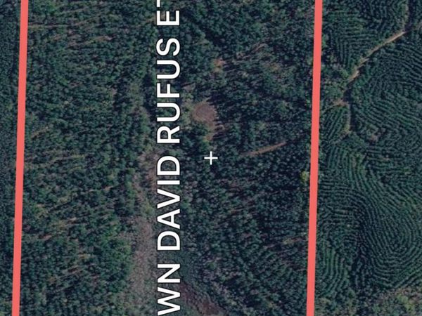 95 +/- Acres Filtrol Road, Greenwood Springs, MS 38848