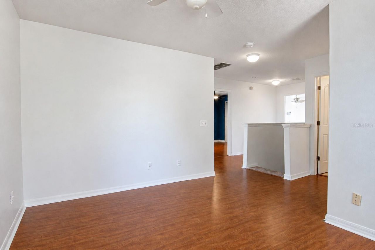 17446 Queensland Street, Land O Lakes, FL 34638 Photo