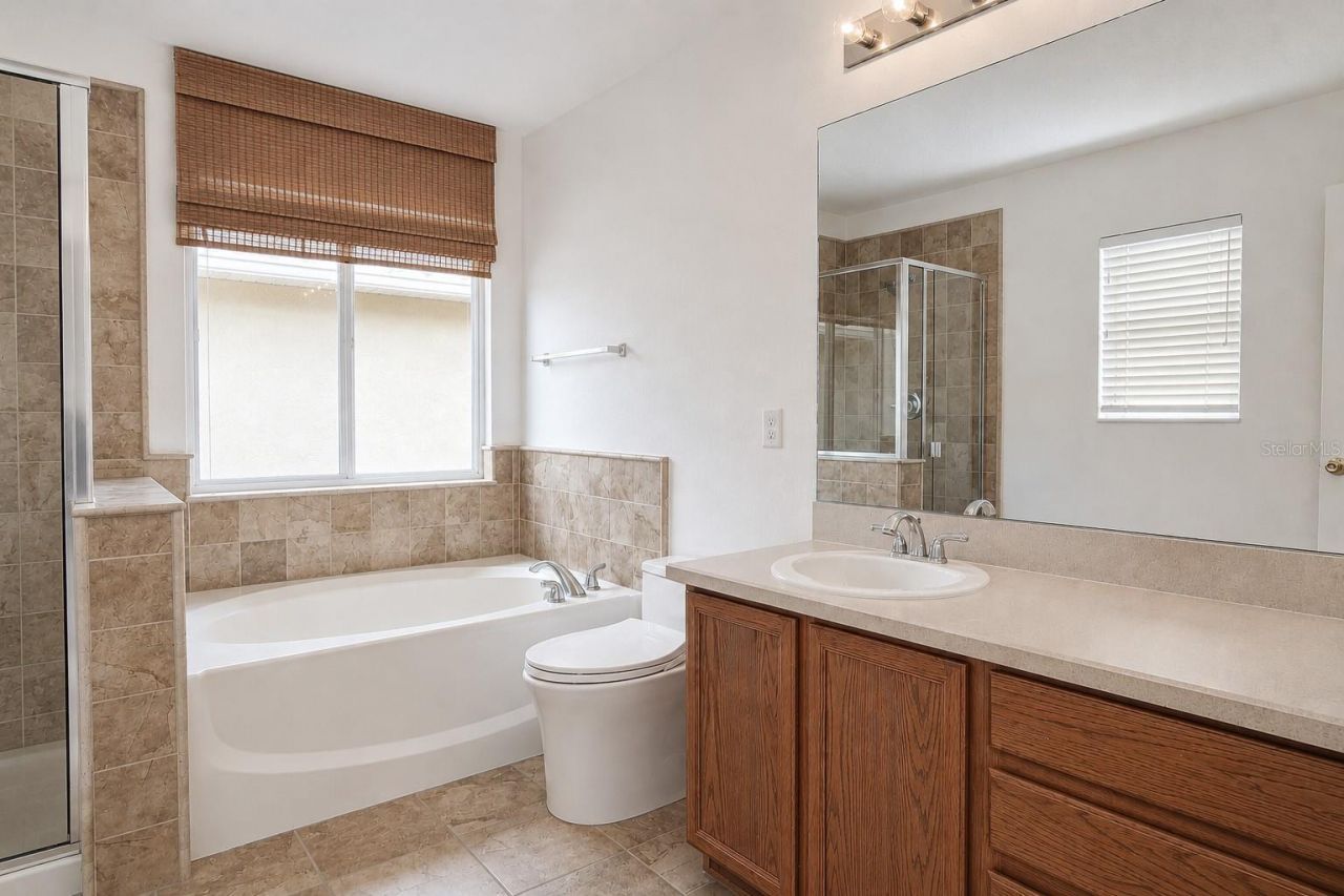 17446 Queensland Street, Land O Lakes, FL 34638 Photo