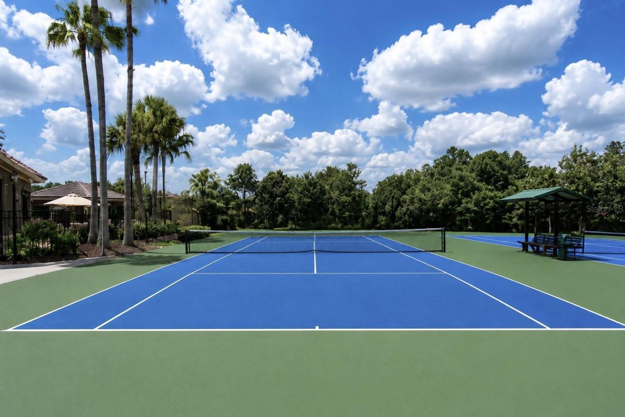 17446 Queensland Street, Land O Lakes, FL 34638 Photo
