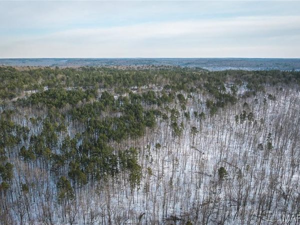 Tract 1 Highway NN , Grandin, MO 63943