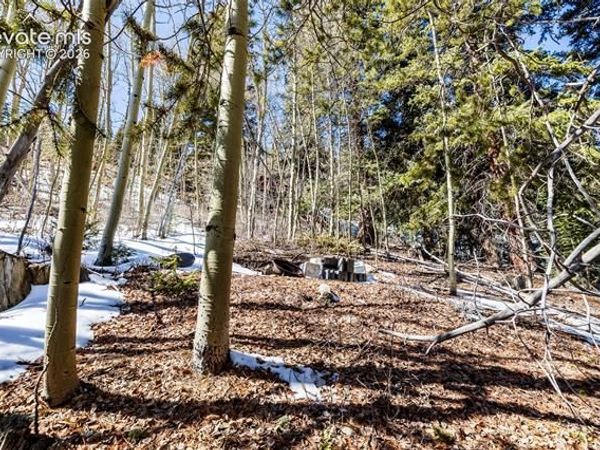 944 Roberts Road, Alma, CO 80420