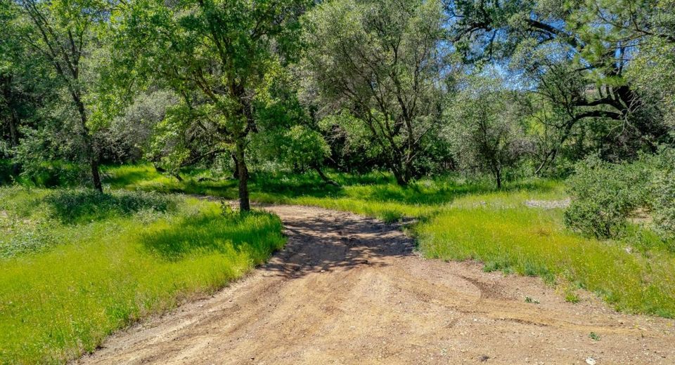 W Eric Rood Memorial Expressway, Penn Valley, CA 95946 Photo