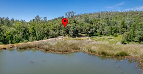 W Eric Rood Memorial Expressway, Penn Valley, CA 95946 Photo
