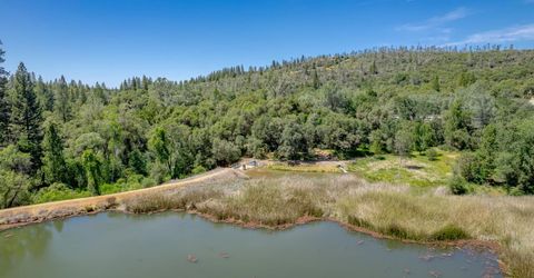 W Eric Rood Memorial Expressway, Penn Valley, CA 95946 Photo