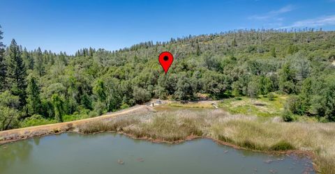 W Eric Rood Memorial Expressway, Penn Valley, CA 95946 Photo