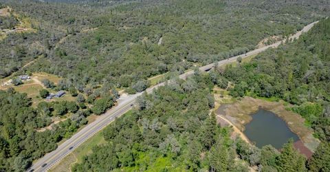 W Eric Rood Memorial Expressway, Penn Valley, CA 95946 Photo