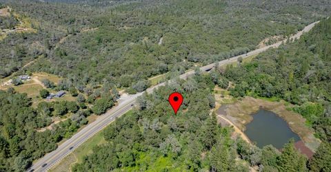 W Eric Rood Memorial Expressway, Penn Valley, CA 95946 Photo