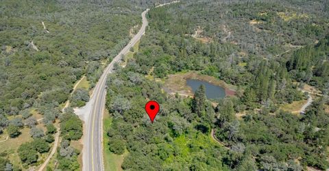W Eric Rood Memorial Expressway, Penn Valley, CA 95946 Photo